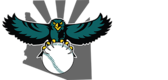hawksbaseball