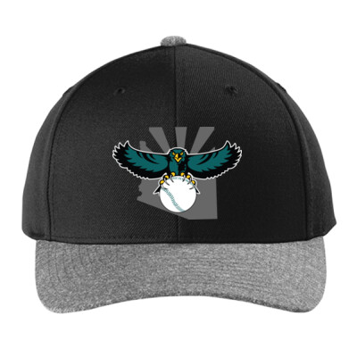 YP Classics Curved Bill Snapback Cap Thumbnail