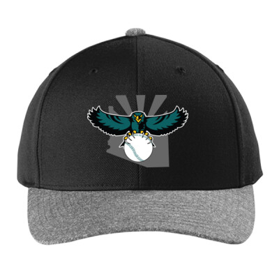 YP Classics Curved Bill Snapback Cap - Teal Logo Thumbnail