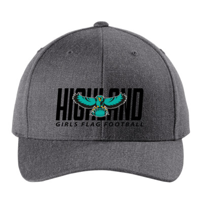 YP Classics Curved Bill Snapback Cap - Black Logo Thumbnail